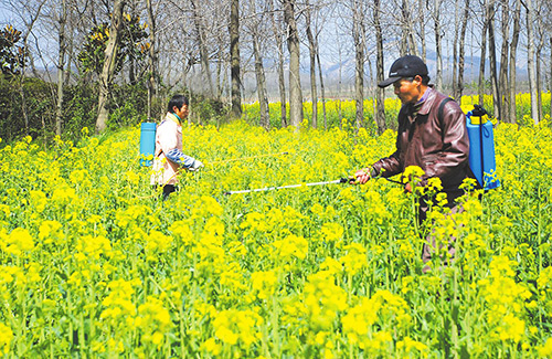 獨家揭秘農用有機硅消泡劑的3大優良特性
