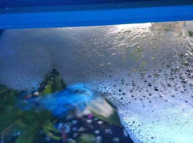 厲害啦！食品級水產(chǎn)品運輸用消泡劑解決水面泡沫問題