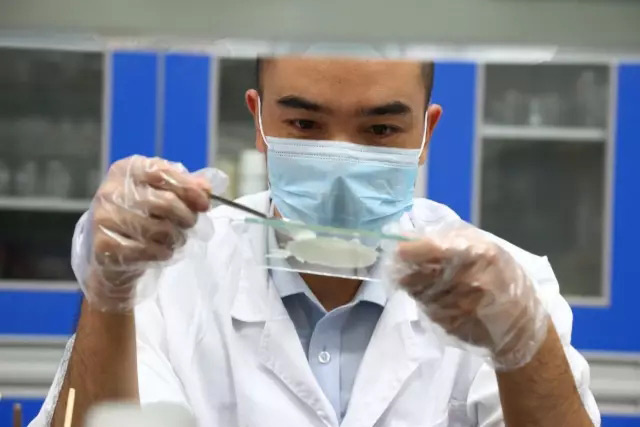 好神奇！環氧膠消泡劑能解決車飾開裂問題