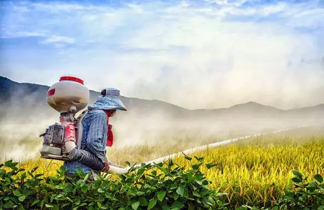 農藥是鐵，農藥消泡劑是鋼