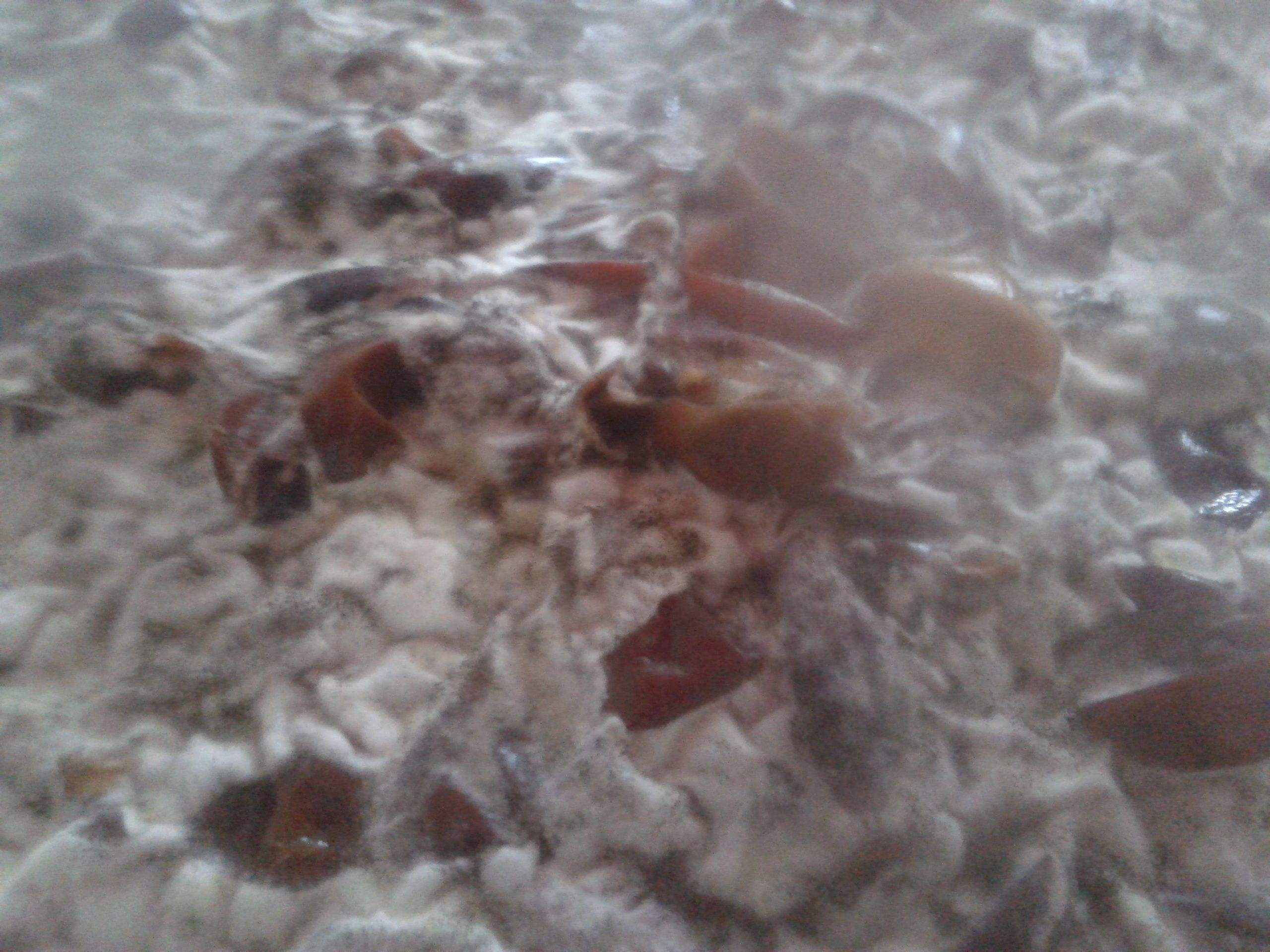 用發(fā)酵消泡劑竟然還有那么多好處！