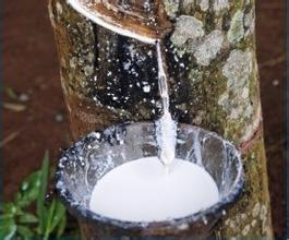 合成膠乳用消泡劑在合成膠乳在應用