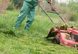 化肥消泡劑在除草中的應用