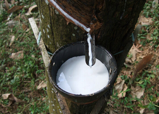 天然膠粘劑消泡劑的應(yīng)用領(lǐng)域 天然膠粘劑消泡劑的應(yīng)用領(lǐng)域