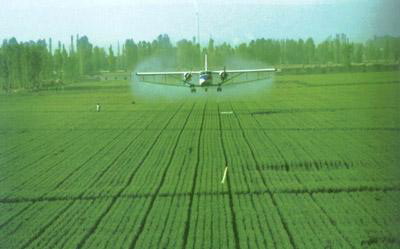 農(nóng)藥化肥專用消泡劑的應(yīng)用 農(nóng)藥化肥專用消泡劑的應(yīng)用