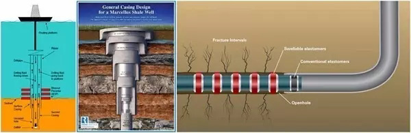 ms2.webp.jpg ms2.webp.jpg