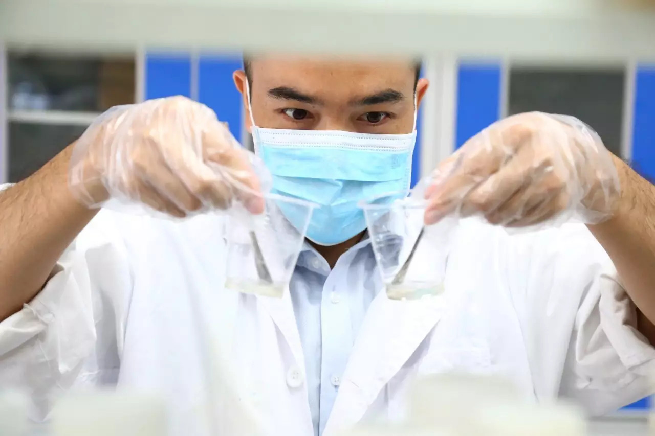 確認實驗結果 確認實驗結果