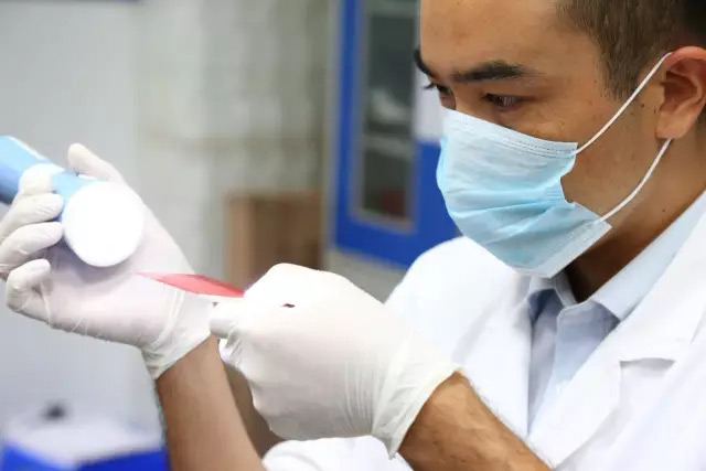 確認實驗結果 確認實驗結果