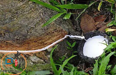 橡膠樹脂消泡劑.jpg 橡膠樹脂消泡劑在橡膠行業(yè)中應(yīng)用