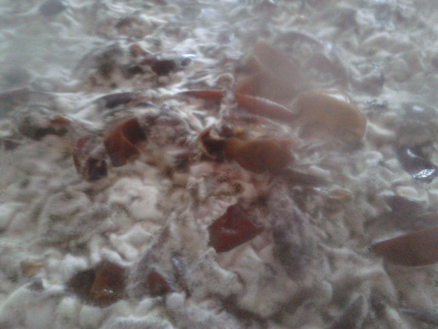 發(fā)酵消泡劑在發(fā)酵中應(yīng)用